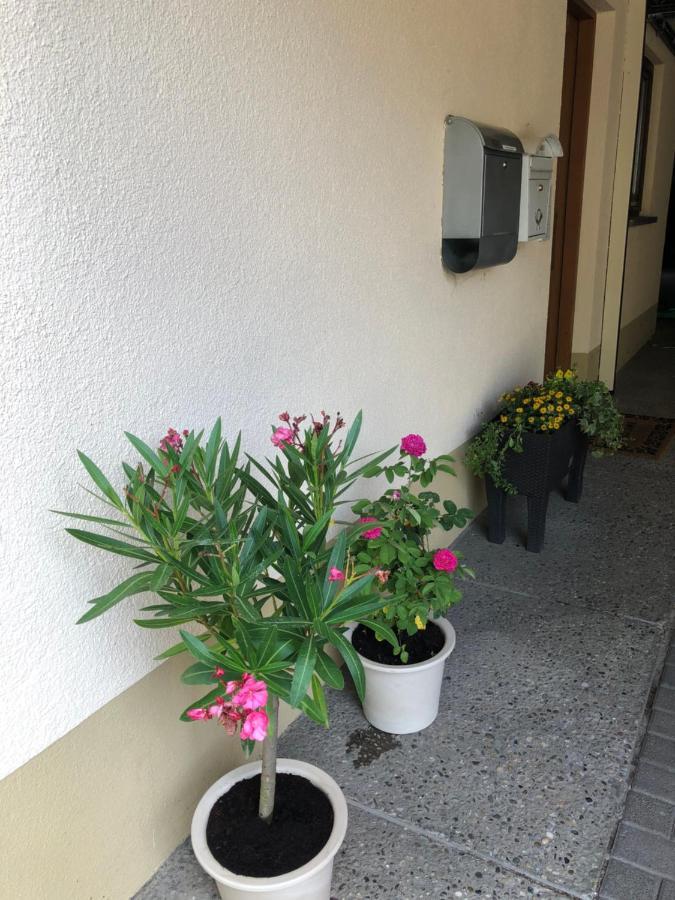 Ferienwohnung Am Gaessle Ettenheim Eksteriør billede