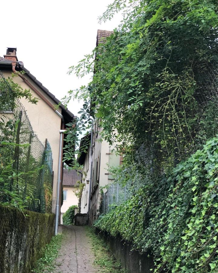 Ferienwohnung Am Gaessle Ettenheim Eksteriør billede